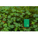 Zippo šķiltavas 46850 Lucky Clover Design Zippo šķiltavas 46850 Lucky Clover Design