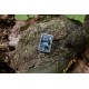 Zippo Lighter 46237 Animal Kingdom Design