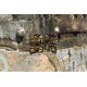 Zippo Lighter 46277 Mushroom Drift Design